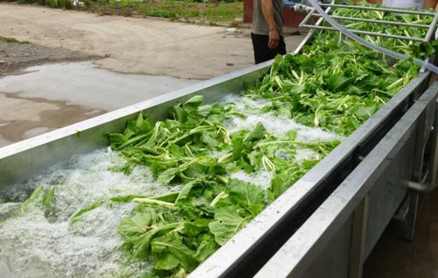 vegetables washing machine